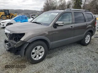 2009 Kia Borrego EX with VIN KNDJH741X95031250, listed as a Copart auction lot 50295895 with 107,043 mi miles and Salvage Title. Bid and sale history available at carsss.com. Image 1.