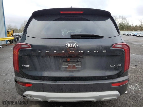 2020 Kia Telluride LX with VIN 5XYP2DHC0LG002702, listed as a Copart auction lot 87206604 with NaN miles and Salvage Title. Bid and sale history available at carsss.com. Image 6.