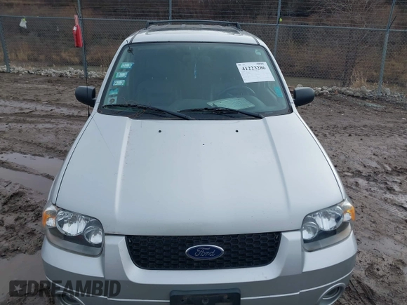 2006 Ford Escape Hybrid with VIN 1FMCU96H16KB20756, listed as a IAAI auction lot 41223286 with 101,829 mi miles and . Bid and sale history available at DreamBid. Image 6.