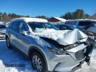 2016 Mazda CX-9 Sport with VIN JM3TCBBYXG0117878, listed as a IAAI auction lot 41617757 with 114,231 mi miles. Bid and sale history available at carsss.com. Image 1.