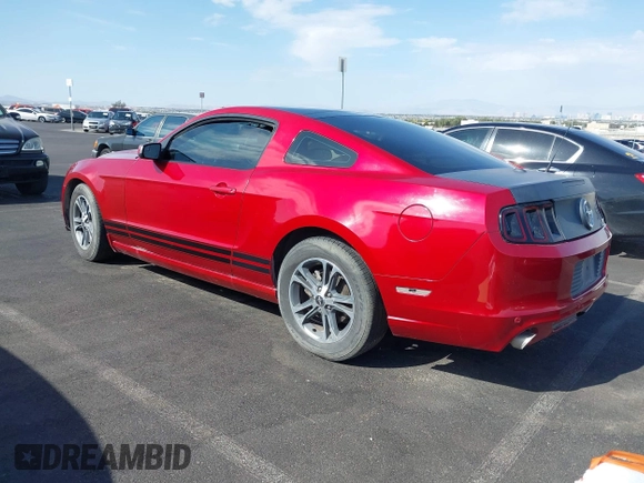 2013 Ford Mustang V6 with VIN 1ZVBP8AM1D5246288, listed as a IAAI auction lot 42024934 with 141,791 mi miles. Bid and sale history available at carsss.com. Image 3.