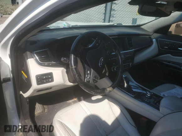 2015 Kia K900 Luxury with VIN KNALW4D49F6017480, listed as a Copart auction lot 78108624 with 126,287 mi miles and Clean Title. Bid and sale history available at carsss.com. Image 9.
