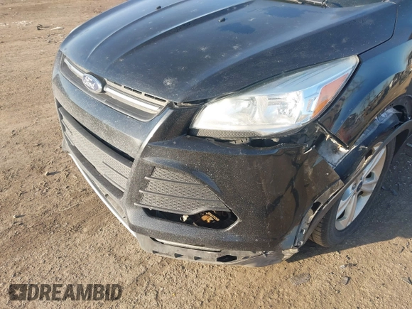 2015 Ford Escape SE with VIN 1FMCU0G79FUA40322, listed as a IAAI auction lot 41791960 with 124,543 mi miles. Bid and sale history available at carsss.com. Image 6.