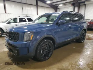 2024 Kia Telluride SX Prestige X-Pro with VIN 5XYP5DGC3RG511166, listed as a Copart auction lot 63592705 with 19,229 mi miles and Salvage title. Bid and sale history available at DreamBid. Image 1.