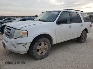 2009 Ford Expedition XLT z VIN 1FMFU15559LA09745, wystawiony jako Copart lot #46702955 z przebiegiem 297 496 mil mil oraz Czysty tytuł • Clean title. Historia ofert i sprzedaży dostępna na DreamBid. Obrazek 1.