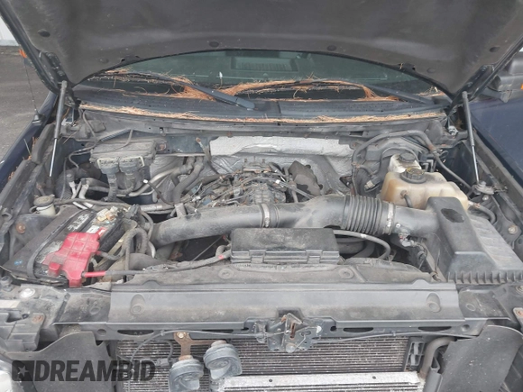 2011 Ford F-150 XLT with VIN 1FTFW1ET2BFC09435, listed as a IAAI auction lot 42514253 with 302,362 mi miles and . Bid and sale history available at DreamBid. Image 10.