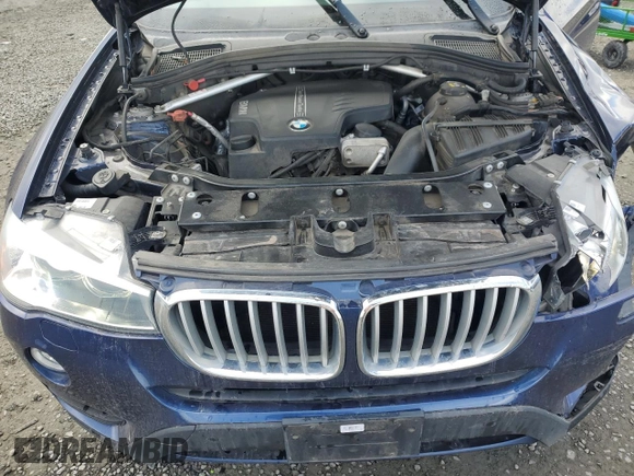 2017 BMW X3 xDrive28i with VIN 5UXWX9C55H0T00256, listed as a Copart auction lot 47207465 with 113,792 mi miles and Salvage Title. Bid and sale history available at DreamBid. Image 14.