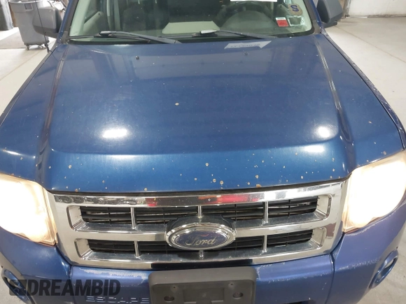 2008 Ford Escape XLT with VIN 1FMCU931X8KC98563, listed as a IAAI auction lot 42739038 with 243,200 mi miles and . Bid and sale history available at DreamBid. Image 12.