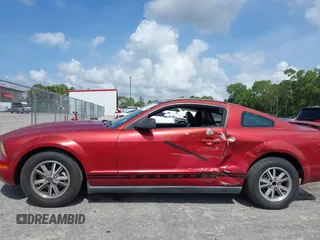 2005 Ford Mustang Deluxe with VIN 1ZVFT80N755162548, listed as a IAAI auction lot 42718109 with 98,194 mi miles and . Bid and sale history available at DreamBid. Image 14.