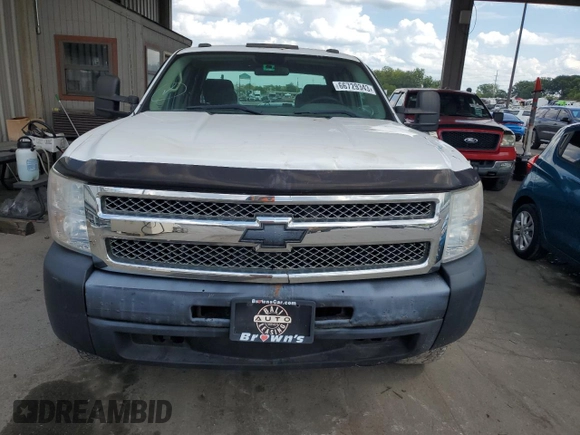 2010 Chevrolet Silverado 1500 with VIN 1GCSKPE32AZ140711, listed as a Copart auction lot 48301125 with 183,663 mi miles and Non Repairable. Bid and sale history available at DreamBid. Image 10.