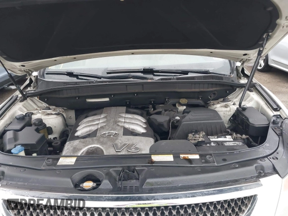 2007 Hyundai Veracruz GLS with VIN KM8NU73C57U010983, listed as a IAAI auction lot 41912443 with 192,218 mi miles and . Bid and sale history available at DreamBid. Image 10.