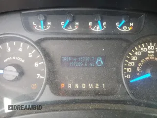 2013 Ford F-150 XL with VIN 1FTFX1EF1DFB09577, listed as a Copart auction lot 51063005 with 197,289 mi miles and Salvage title. Bid and sale history available at DreamBid. Image 9.