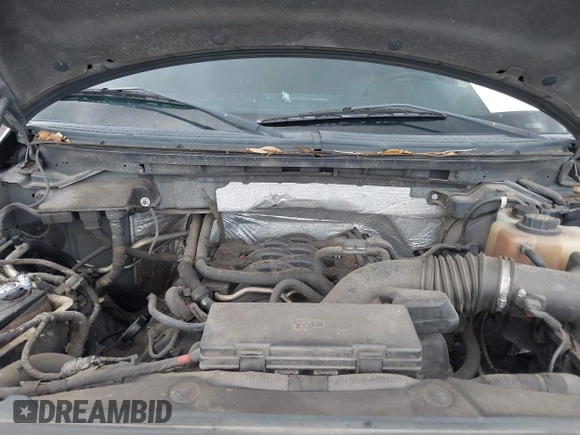 2011 Ford F-150 XL with VIN 1FTFX1EF0BFB60419, listed as a IAAI auction lot 42436655 with 211,359 mi miles and . Bid and sale history available at DreamBid. Image 10.