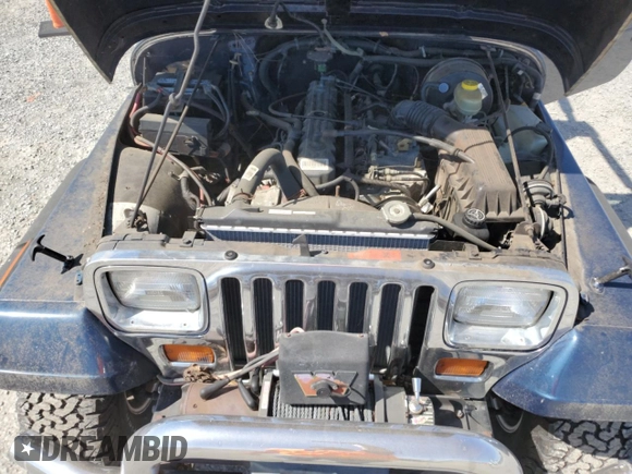 1995 Jeep Wrangler with VIN 1J4FY29S2SP309833, listed as a Copart auction lot 48493855 with 50,188 mi miles and Clean Title. Bid and sale history available at carsss.com. Image 12.