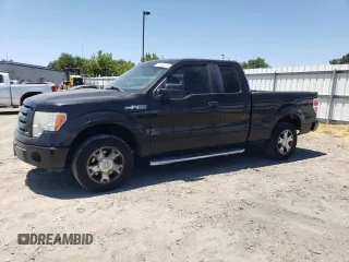 2010 Ford F-150 XL with VIN 1FTEX1CW5AKE07504, listed as a Copart auction lot 61187575 with 176,296 mi miles and Salvage title. Bid and sale history available at DreamBid. Image 1.