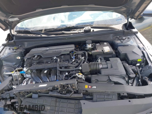 2025 Hyundai Elantra SEL Convenience with VIN KMHLS4DG9SU905768, listed as a IAAI auction lot 42101897 with 7,303 mi miles and . Bid and sale history available at DreamBid. Image 10.