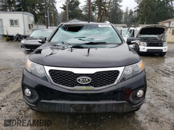 2013 Kia Sorento EX with VIN 5XYKUDA63DG351184, listed as a Copart auction lot 46623205 with 126,102 mi miles and Salvage Title. Bid and sale history available at carsss.com. Image 5.