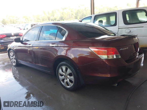 2010 Honda Accord Sdn EX-L with VIN 5KBCP3F84AB012857, listed as a IAAI auction lot 41999590 with 287,078 mi miles. Bid and sale history available at carsss.com. Image 3.