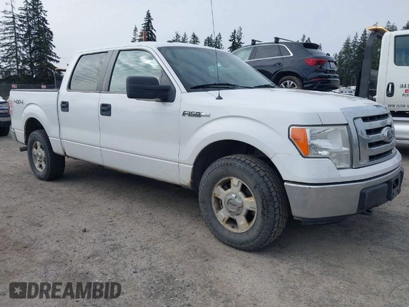 2011 Ford F-150 XL with VIN 1FTFW1EF1BFC77879, listed as a IAAI auction lot 42008883 with 258,812 mi miles. Bid and sale history available at carsss.com. Image 1.
