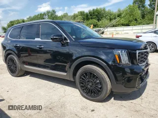 2024 Kia Telluride SX Prestige X-Pro with VIN 5XYP5DGC6RG531640, listed as a Copart auction lot 61953805 with 12,889 mi miles and Salvage title. Bid and sale history available at DreamBid. Image 4.