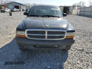 2004 Dodge Dakota with VIN 1D7GG16K54S588745, listed as a Copart auction lot 48946065 with 123,803 mi miles and Salvage Title. Bid and sale history available at DreamBid. Image 5.