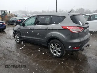 2013 Ford Escape SEL with VIN 1FMCU0H94DUA02476, listed as a Copart auction lot 48042265 with 118,732 mi miles and Salvage Title. Bid and sale history available at carsss.com. Image 2.