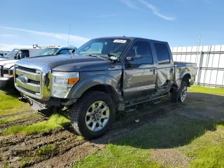 2014 Ford F-350 XLT z VIN 1FT8W3BT1EEB64765, wystawiony jako Copart lot #46304455 z przebiegiem 234 088 mil mil oraz Szkoda całkowita • Salvage title. Historia ofert i sprzedaży dostępna na DreamBid. Obrazek 1.