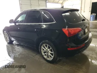 2009 Audi Q5 Premium Plus with VIN WA1KK78R09A052163, listed as a Copart auction lot 51495835 with 233,013 mi miles and Salvage title. Bid and sale history available at DreamBid. Image 2.