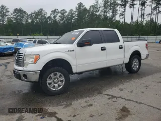 2011 Ford F-150 XL with VIN 1FTFW1CF5BFD20767, listed as a Copart auction lot 58480325 with 249,826 mi miles and Salvage title. Bid and sale history available at DreamBid. Image 1.