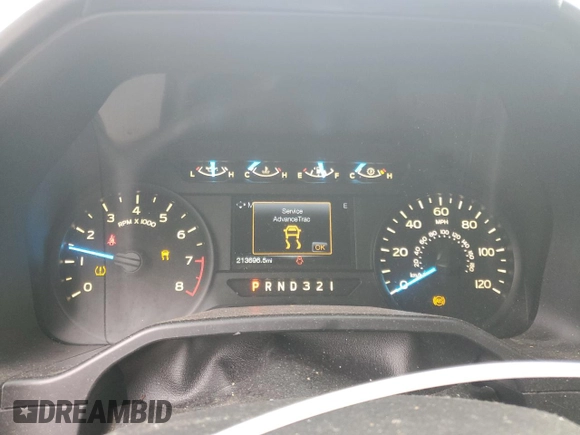 2016 Ford F-150 XL with VIN 1FTEX1C89GKF58100, listed as a Copart auction lot 49851245 with 213,696 mi miles and Clean Title. Bid and sale history available at carsss.com. Image 9.