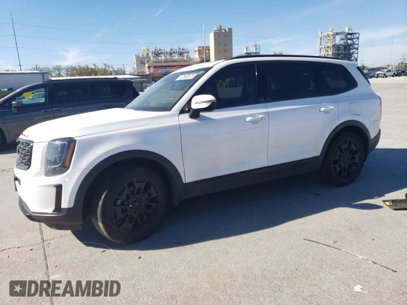 2021 Kia Telluride EX with VIN 5XYP3DHC3MG136781, listed as a Copart auction lot 47560575 with 59,247 mi miles and Salvage Title. Bid and sale history available at DreamBid. Image 1.