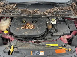 2013 Ford Escape SE с VIN 1FMCU9G95DUD25554, выставлен на аукционе Copart как лот 76806584 с пробегом Не указан миль и Чистый • Clean title. История ставок и продаж доступна на DreamBid. Изображение 7.