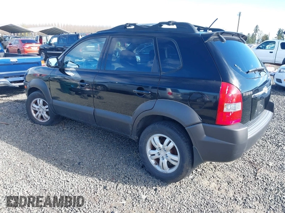 2006 Hyundai Tucson GLS with VIN KM8JN12DX6U415822, listed as a IAAI auction lot 41820694 with 167,543 mi miles. Bid and sale history available at carsss.com. Image 3.