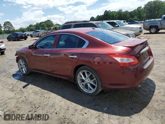 2010 Nissan Maxima SV with VIN 1N4AA5AP7AC820706, listed as a Copart auction lot 60928385 with 131,222 mi miles and Clean title. Bid and sale history available at DreamBid. Image 2.