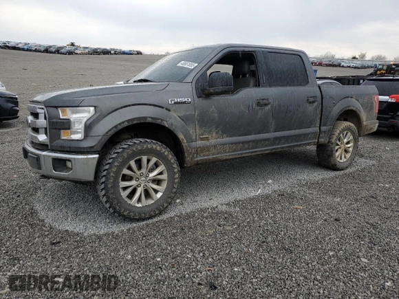 2017 Ford F-150 XL with VIN 1FTEW1EG6HFB05408, listed as a Copart auction lot 48661855 with 231,162 mi miles and Salvage Title. Bid and sale history available at carsss.com. Image 1.