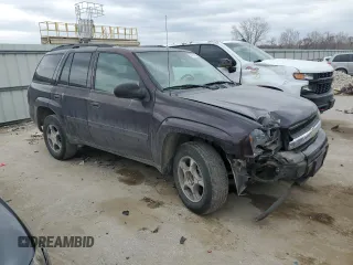 2008 Chevrolet TrailBlazer Fleet 2FL with VIN 1GNDS13SX82139980, listed as a Copart auction lot 47100215 with 168,677 mi miles and Salvage Title. Bid and sale history available at DreamBid. Image 4.