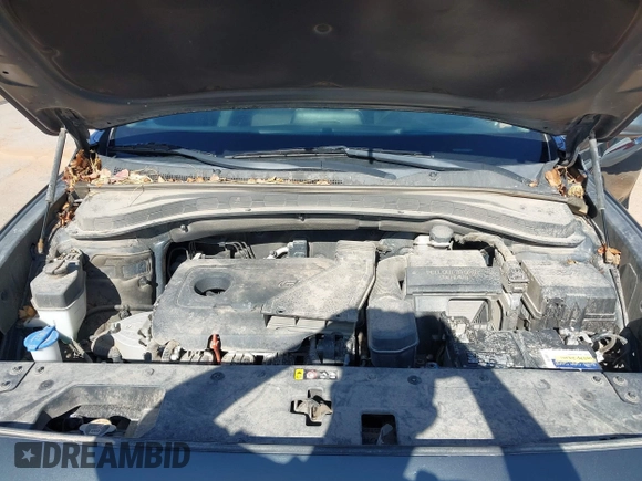 2019 Hyundai Santa Fe SE with VIN 5NMS23AD2KH134016, listed as a IAAI auction lot 41977240 with 61,448 mi miles and . Bid and sale history available at DreamBid. Image 10.