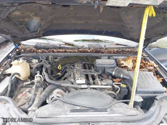 2003 Jeep Grand Cherokee Laredo with VIN 1J4GW48S63C591605, listed as a IAAI auction lot 41973681 with 177,024 mi miles. Bid and sale history available at carsss.com. Image 10.