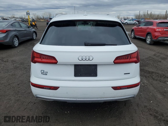 2020 Audi Q5 Premium with VIN WA1ANAFY4L2043820, listed as a Copart auction lot 52306765 with 102,821 mi miles and Salvage title. Bid and sale history available at DreamBid. Image 6.