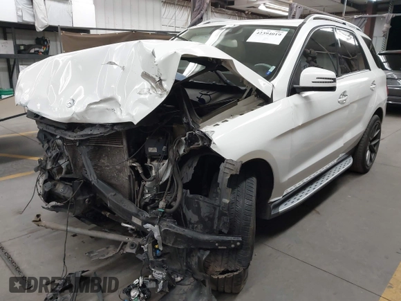 2017 Mercedes-Benz GLE 350 with VIN 4JGDA5JB8HA866073, listed as a IAAI auction lot 42394019 with 159,034 mi miles and . Bid and sale history available at DreamBid. Image 17.