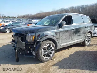 2024 Kia Telluride S with VIN 5XYP6DGC6RG511711, listed as a IAAI auction lot 41550210 with 13,003 mi miles. Bid and sale history available at carsss.com. Image 2.