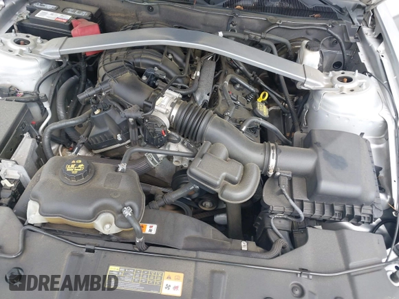 2011 Ford Mustang V6 with VIN 1ZVBP8EM7B5120539, listed as a IAAI auction lot 42502299 with 135,662 mi miles and . Bid and sale history available at DreamBid. Image 10.