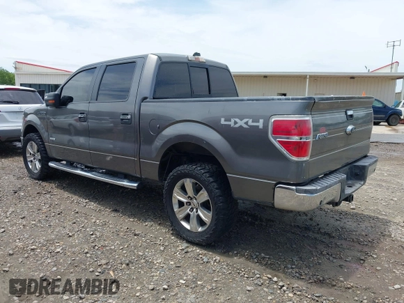 2014 Ford F-150 XL with VIN 1FTFW1ET3EFA92386, listed as a IAAI auction lot 42454065 with 283,399 mi miles and . Bid and sale history available at DreamBid. Image 3.