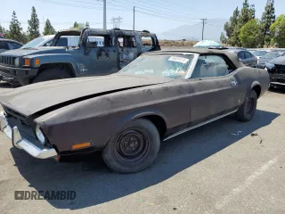 1972 Ford Mustang z VIN 2F03F225250, wystawiony jako Copart lot #56680804 z przebiegiem Nie podano mil oraz Szkody całkowita. Historia ofert i sprzedaży dostępna na DreamBid. Obrazek 1.