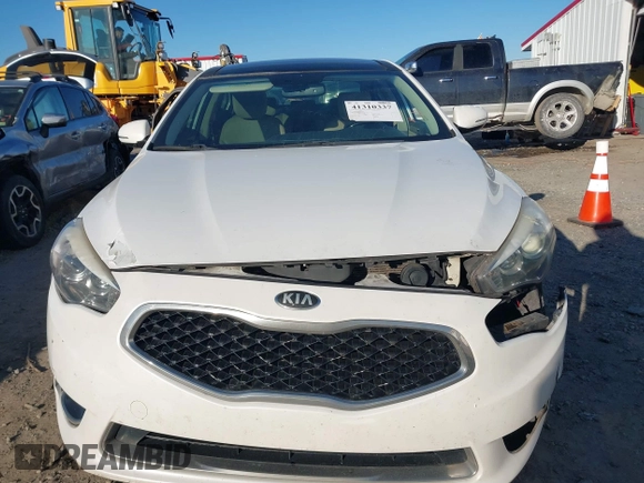 2015 Kia Cadenza Premium with VIN KNALN4D77F5170135, listed as a IAAI auction lot 41310337 with 237,376 mi miles. Bid and sale history available at carsss.com. Image 13.