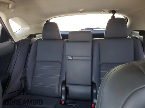 2017 Lexus NX 200t with VIN JTJBARBZ6H2141612, listed as a Copart auction lot 58217825 with 163,914 mi miles and Salvage title. Bid and sale history available at DreamBid. Image 10.