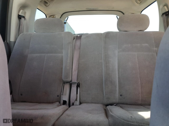 2005 Chevrolet TrailBlazer LS with VIN 1GNET16S856187009, listed as a Copart auction lot 53874385 with 203,918 mi miles and Clean Title. Bid and sale history available at carsss.com. Image 10.