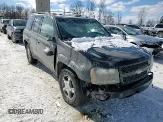 2008 Chevrolet TrailBlazer 1LT with VIN 1GNDT13S782123152, listed as a Copart auction lot 45971355 with 229,630 mi miles and Salvage Title. Bid and sale history available at DreamBid. Image 12.