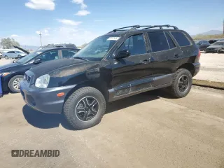 2004 Hyundai Santa Fe GLS with VIN KM8SC73D44U671253, listed as a Copart auction lot 62787535 with 210,000 mi miles and Salvage title. Bid and sale history available at DreamBid. Image 1.