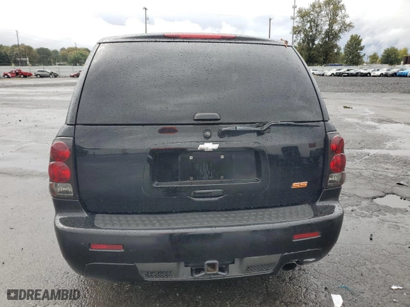 2006 Chevrolet TrailBlazer LT with VIN 1GNET13H762239456, listed as a Copart auction lot 73275744 with 127,453 mi miles and Salvage Title. Bid and sale history available at carsss.com. Image 6.